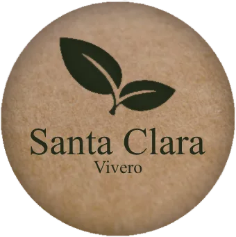 Santa Clara